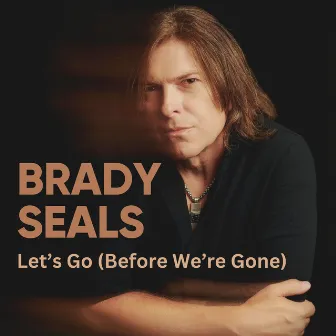 Let's Go (Before We're Gone) by Brady Seals