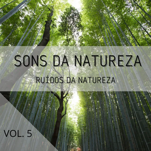 Sons Da Natureza Vol. 5, Ruídos Da Natureza