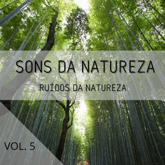 Sons Da Natureza Vol. 5, Ruídos Da Natureza by Música Relax para Cafe