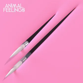 Animal Feelings by Animal Feelings