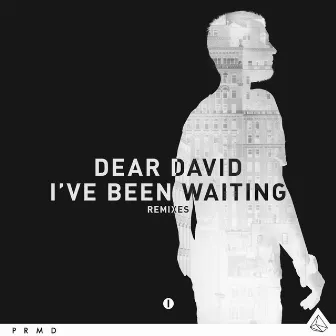 I've Been Waiting (Remixes) by Dear David