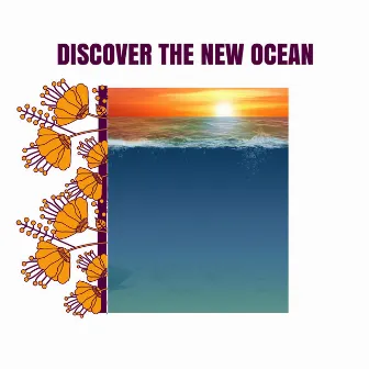 Discover The New Ocean by Ambisonic Ocean World