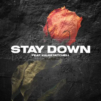 Stay Down by Andrew Narvaez