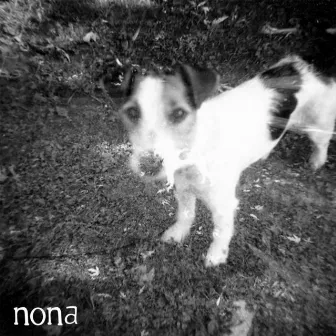 Split EP with NONA & Crow Bait by Crow Bait