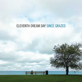 Since Grazed by Eleventh Dream Day