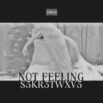 NOT FEELING by S3KR3TWXV3