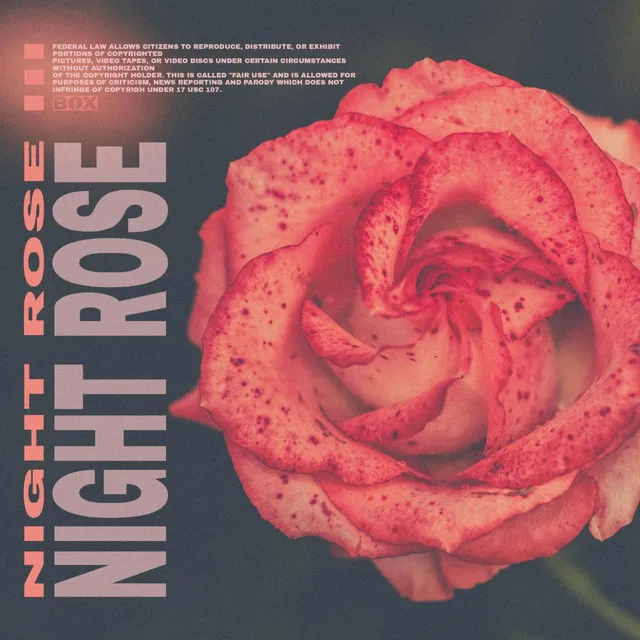 Night Rose III