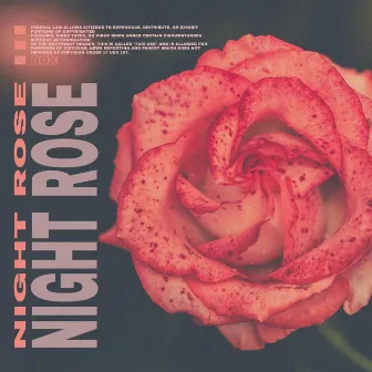 Night Rose III by Plugxcvi