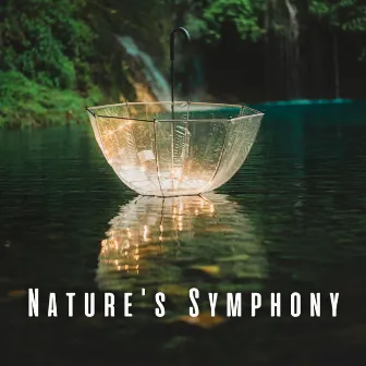 Nature's Symphony: Relaxation with Birds and Heavy Rain by Magic Vision