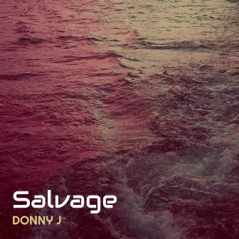 Salvage by Donny J