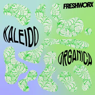 Kaleido-Organica by Paul Richie