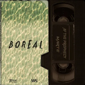 Boreal by Marte.