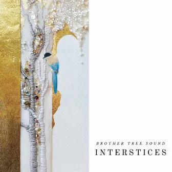 Interstices by Brother Tree Sound