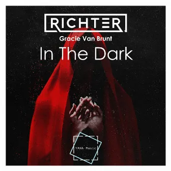 In The Dark by Richter