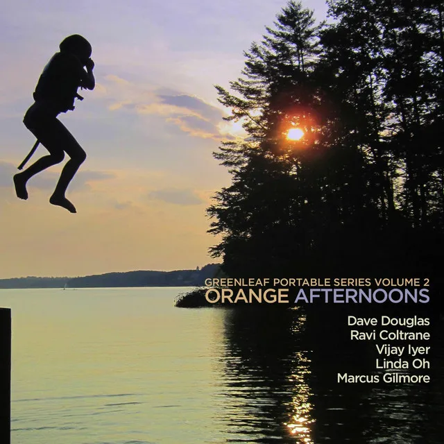 GPS, Vol. 2: Orange Afternoons (feat. Ravi Coltrane, Vijay Iyer, Linda Oh & Marcus Gilmore)