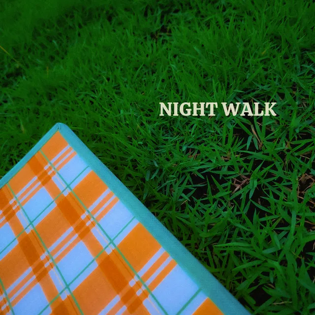 NIGHT WALK