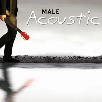 Male Acoustic by Sunshine Boys