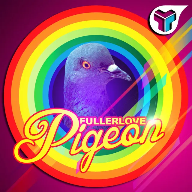 Pigeon