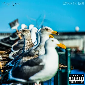 Flocka Seagulls by Lostman