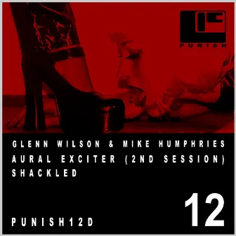 Punish 12 by Glenn Wilson