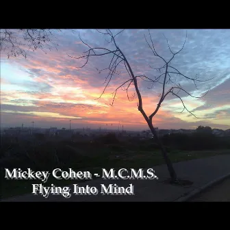 Flying Into Mind by Mickey Cohen