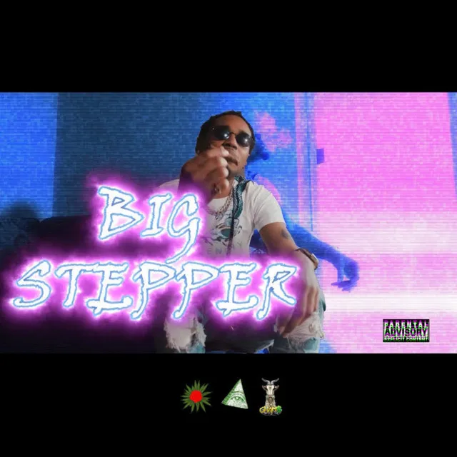 Big Stepper