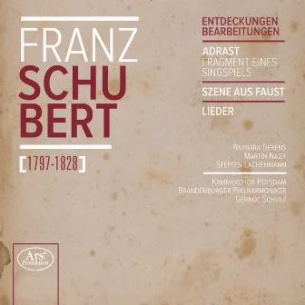 Schubert: Entdeckungen Bearbeitungen by Gernot Schulz