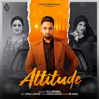 Attitude by Teji Grewal