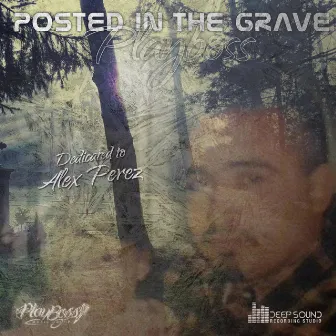 Posted in the Grave by Playboss