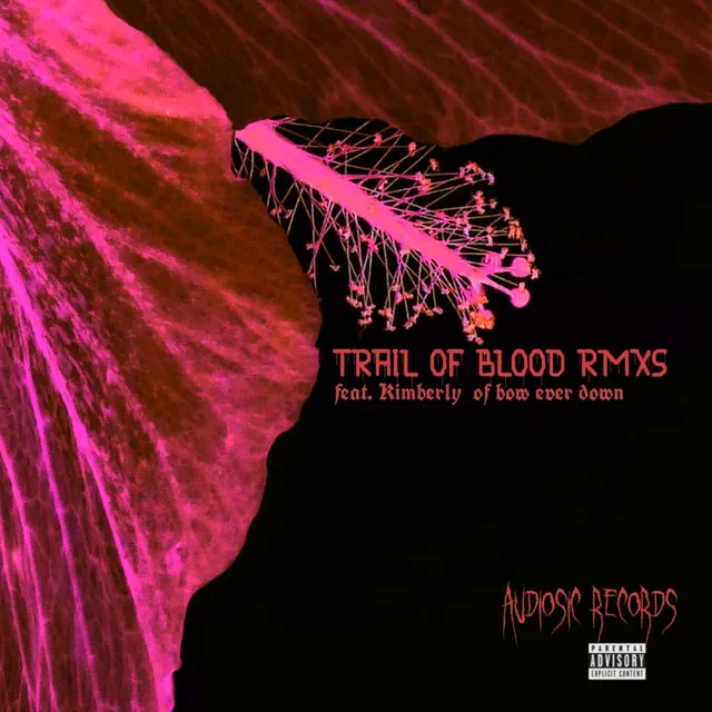 trail of blood - Kryptic Arrival remix