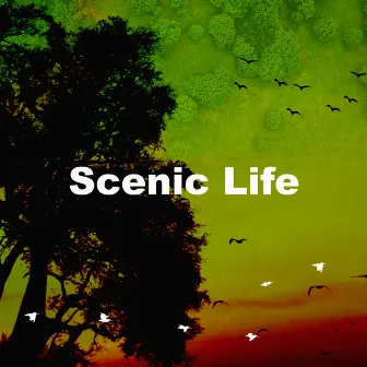 Scenic Life by Birds In The Morning