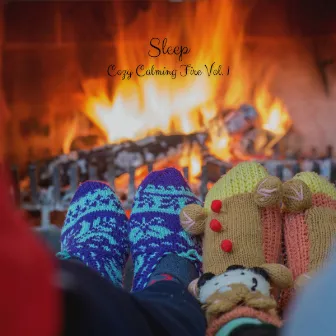 Sleep: Cozy Calming Fire Vol. 1 by Sleep Dimension