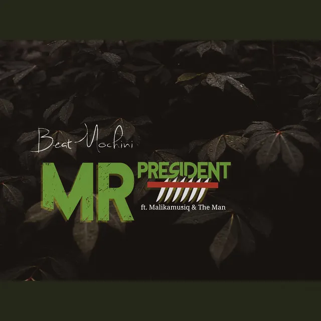 Mr President