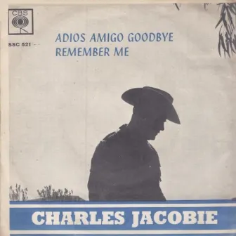 Adios Amigo Goodbye by Charles Jacobie