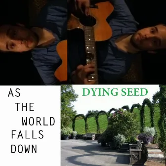 As the World Falls Down by Dying Seed