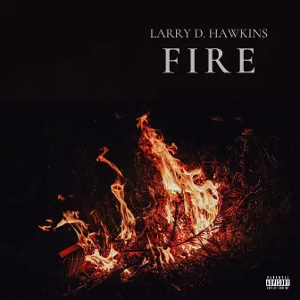 FIRE by Larry D Hawkins