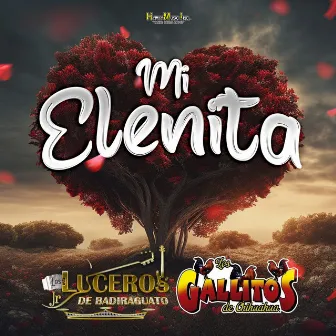 Mi Elenita by Luceros Jr de Badiraguato