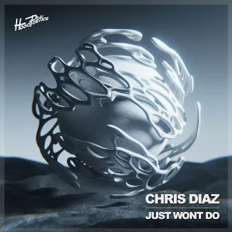 Just Won't Do by Chris Diaz