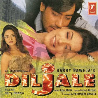 Diljale by Unknown Artist