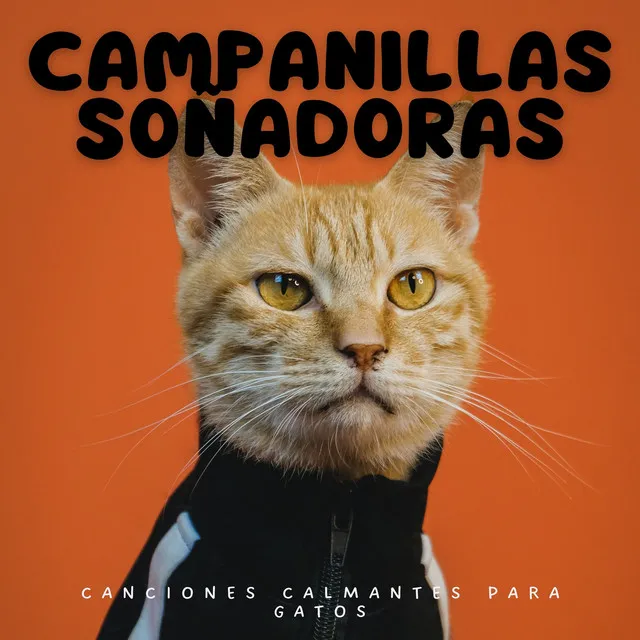 Campanillas Soñadoras: Canciones Calmantes Para Gatos