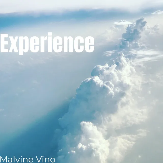 Experience