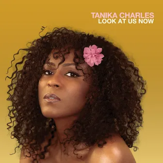 Look at Us Now by Tanika Charles