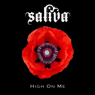 High on Me by Saliva