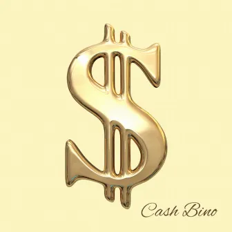 Cash Vault by Cash Bino