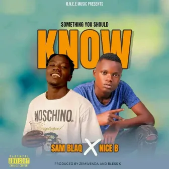 Something You Should Know by Nice B.