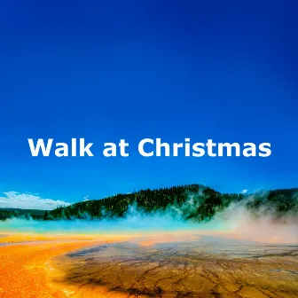 Walk at Christmas by Ambi Nature