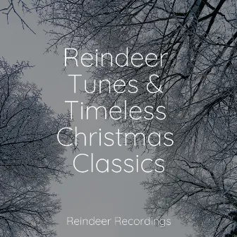 Reindeer Tunes & Timeless Christmas Classics by Christmas Songs Piano Series