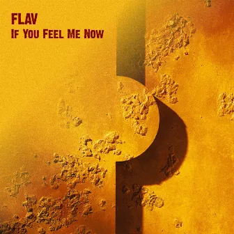 If You Feel Me Now by FLAV