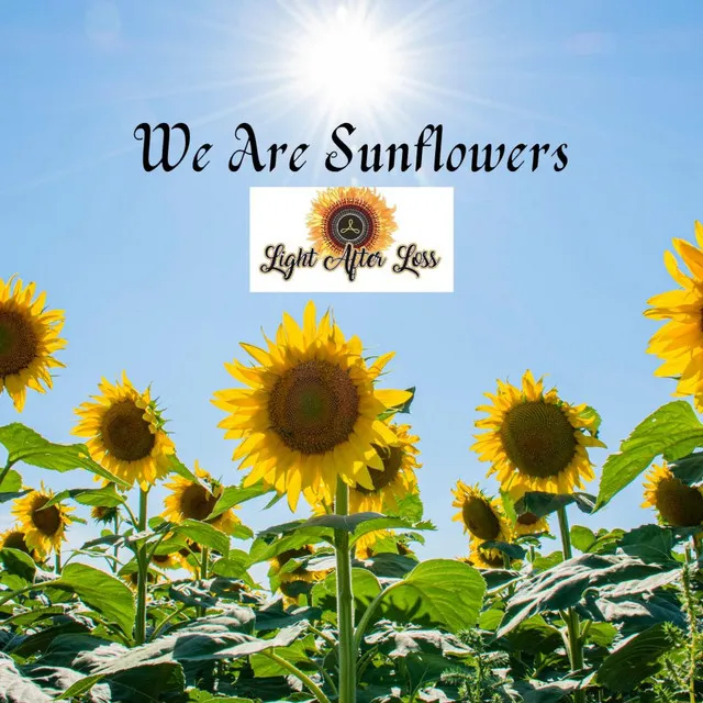 We Are Sunflowers