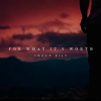 For What It's Worth by Shaun Bily